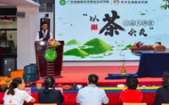 以茶會友 品茗論道|看高新校友們最流行的“相聚”方式